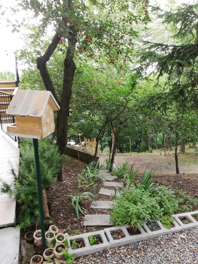 Casa In Campagna Oltrepo' Pavese Montecalvo Versiggia Eksteriør bilde
